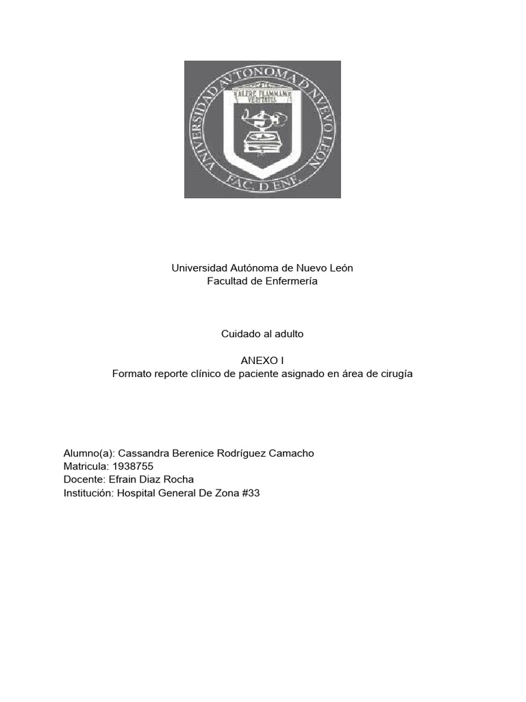 Reporte de Paciente Asignado HGZ 33 | PDF | Enfermería | Cuidado de la ...
