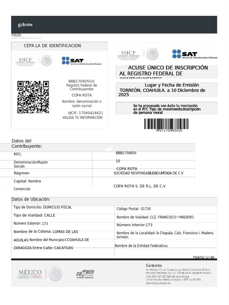 Ejemplo de RFC | PDF | Privacidad de la información | Gobierno