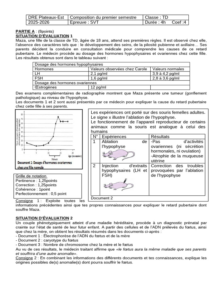 SVT TD - Sujet | PDF | Code génétique | Génétique