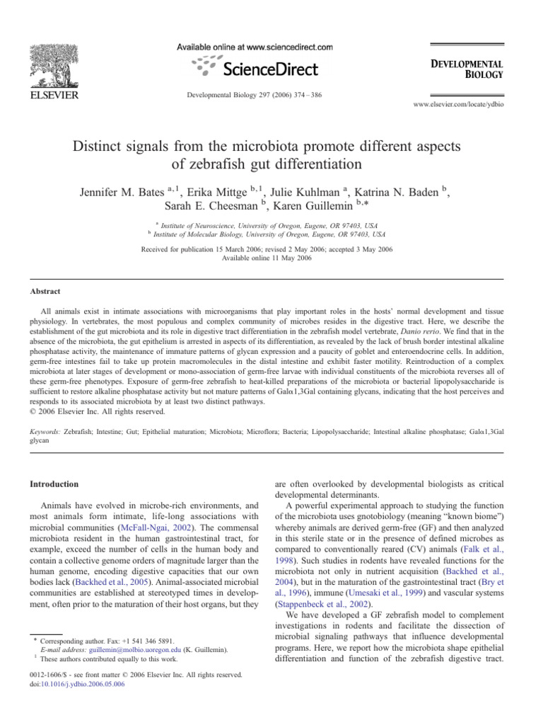 Microbiota and Gut Diff | PDF | Gastrointestinal Tract | Microbiota