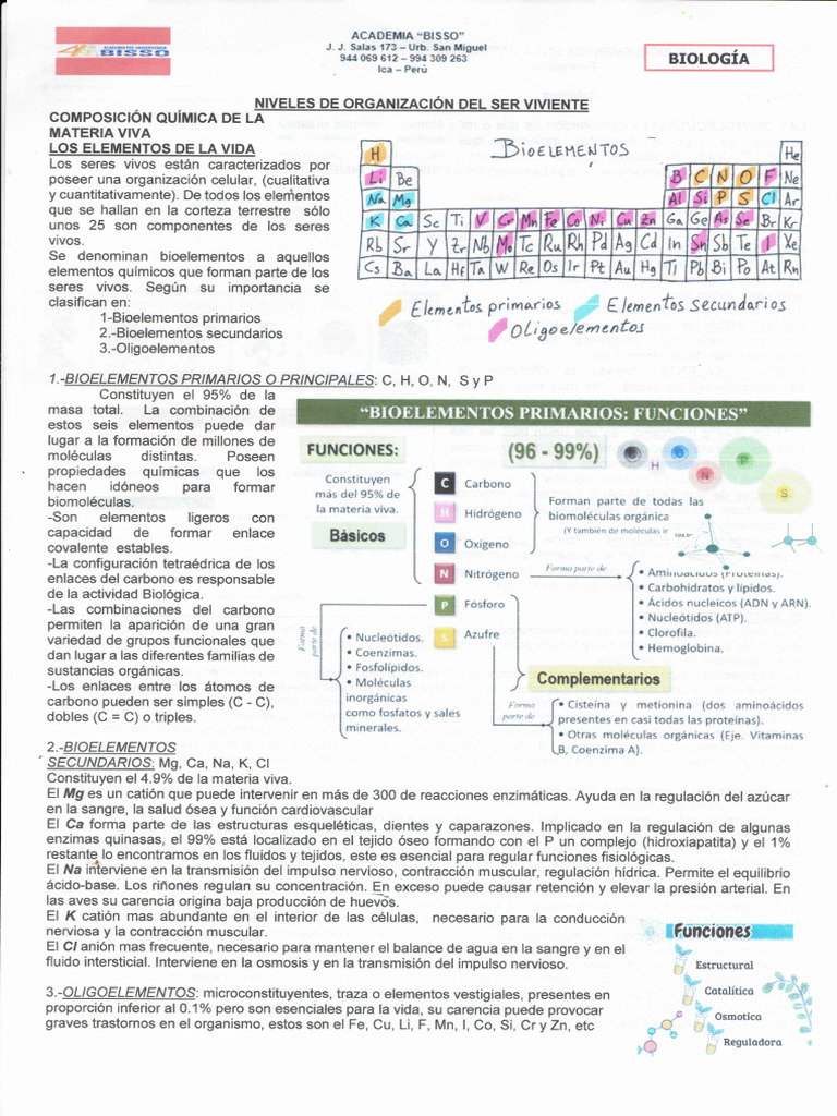 Bio Element o 30012026 | PDF