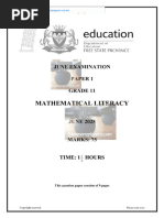 Grade 11 Maths Literacy Formula Sheet | PDF | Area
