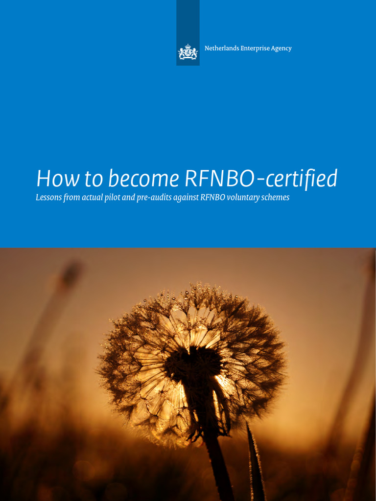 Report How to Become RFNBO Certified | PDF | Low Carbon Economy ...