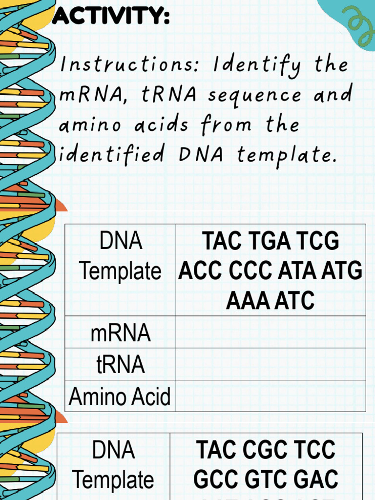 DNA-and-RNA | PDF