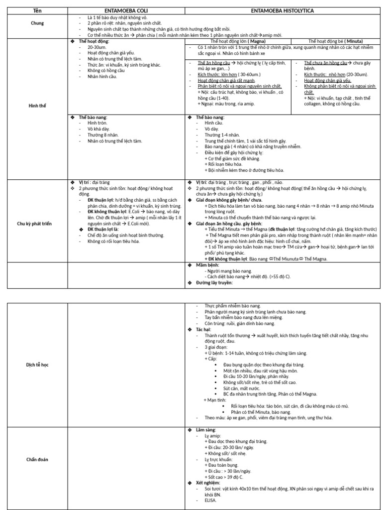 Amip | PDF