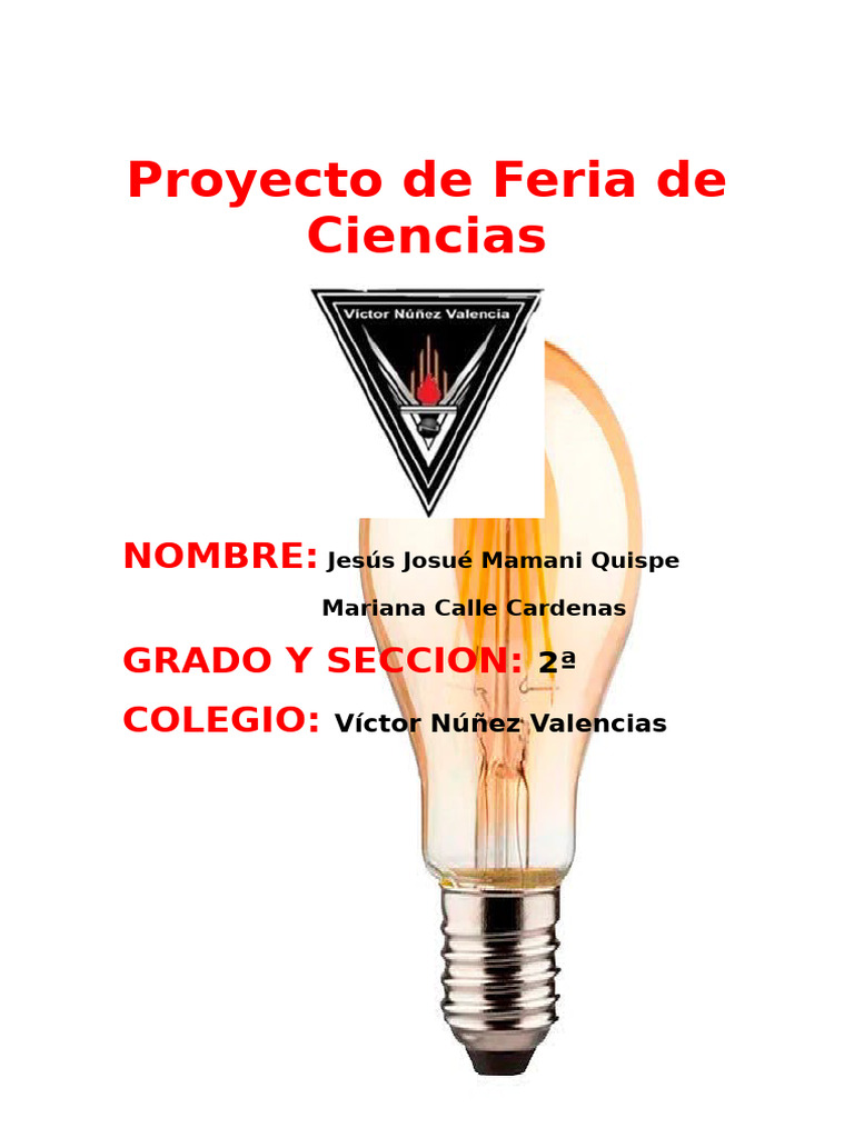 Proyecto de Feria de Ciencias | PDF | Energía renovable | Ingenieria ...