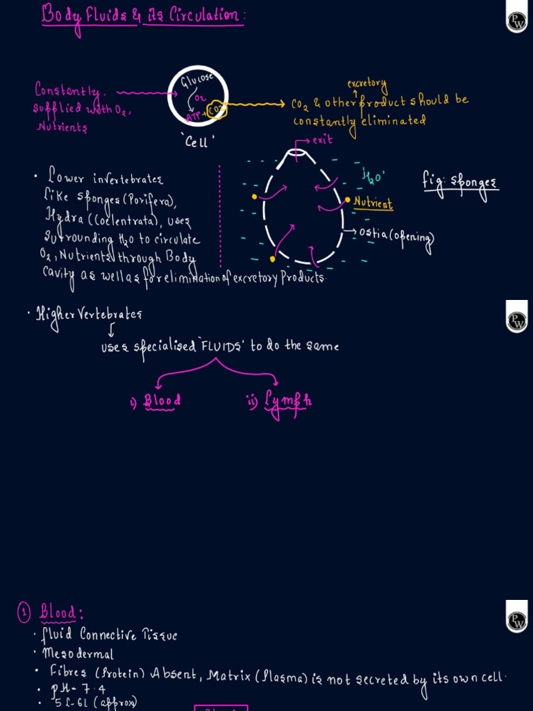 1) - Body Fluids and Circulation | PDF