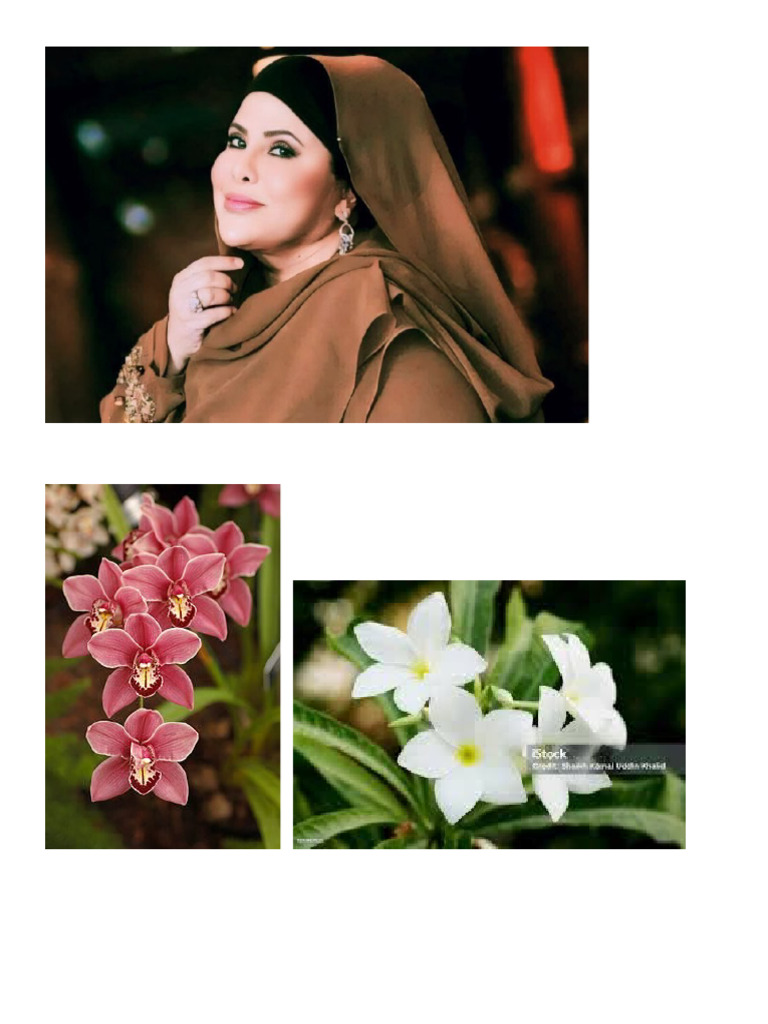 Fatini 2 Inang | PDF