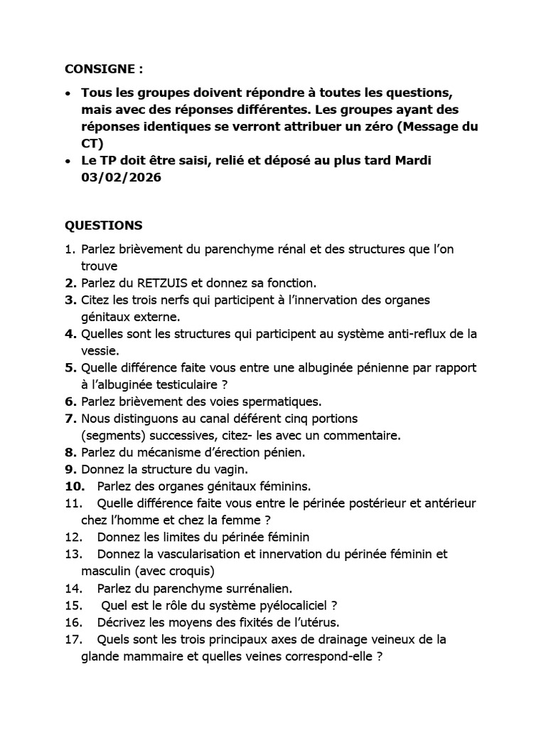 Questions TP Urogenital | PDF