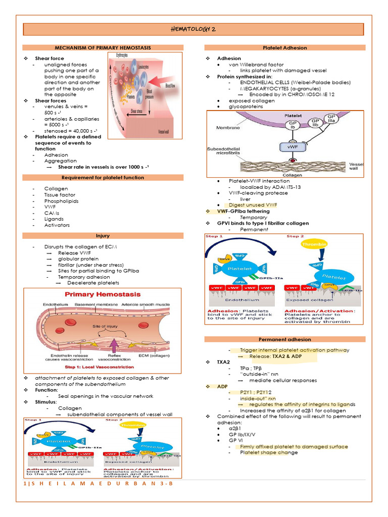 5_6213117415723633711_copy | PDF | Platelet | Coagulation