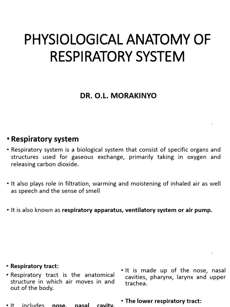 Physiologic Anatomy 095501 | PDF | Respiratory Tract | Human Nose