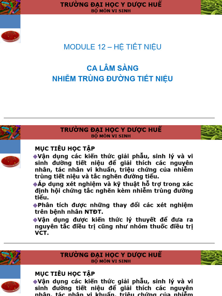 CLS Nhiễm trùng đường tiểu | PDF