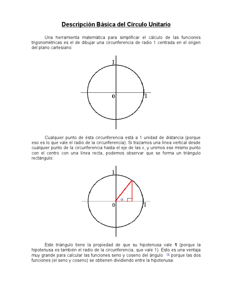 Grafico De Circulo Unitario Com Triangulos Círculo Unitário