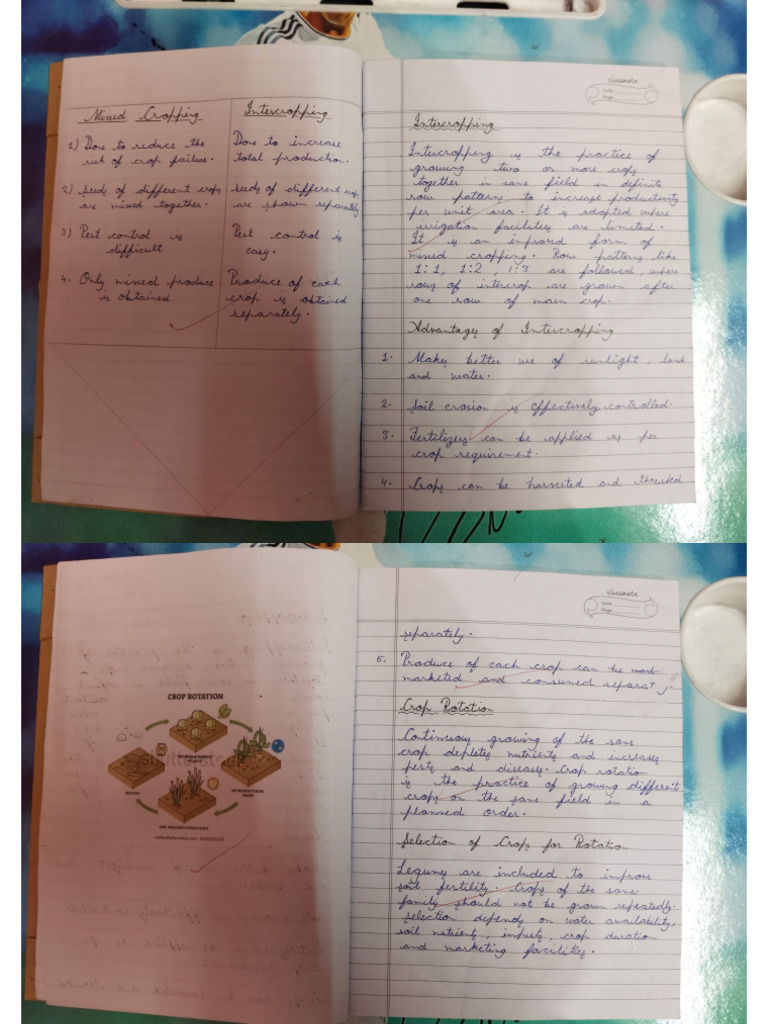 Bio Notes | PDF