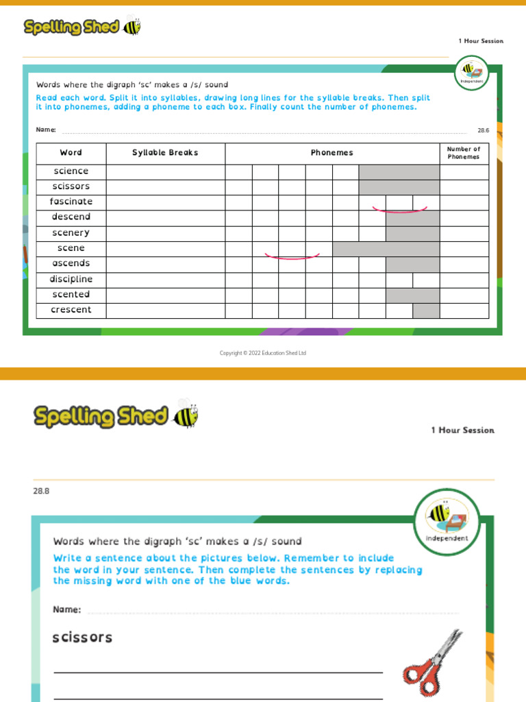 Stage 3 Lesson 28 - Words Where the Digraph Sc Makes a s Sound ...