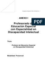 Profesorado Educacion Especial. Discapacidad Intelectual
