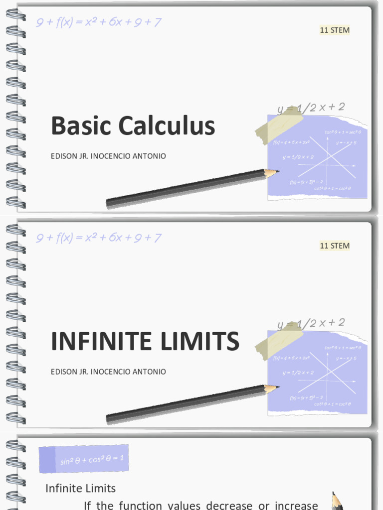 Infinite Limits | PDF | Asymptote | Function (Mathematics)
