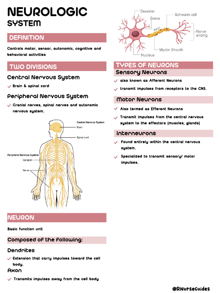 MS Neuro | PDF