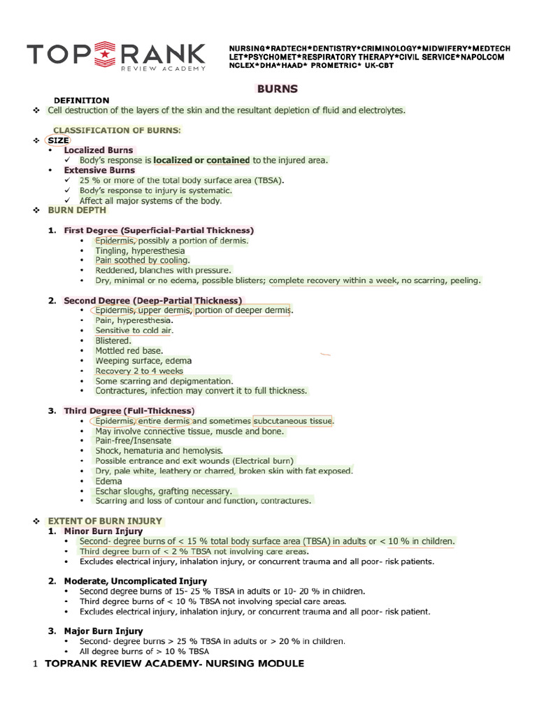 15 MS Erdn | PDF
