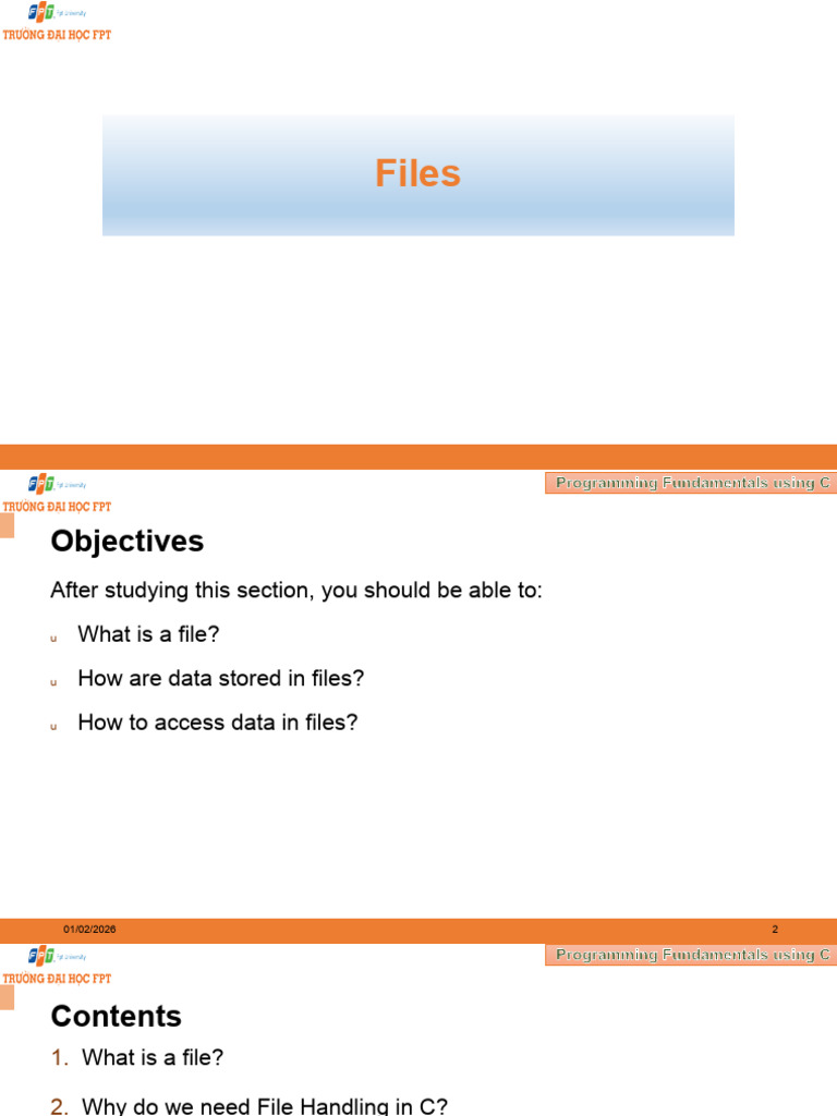 Slot 19 20 Files | PDF | Pointer (Computer Programming) | Computer File