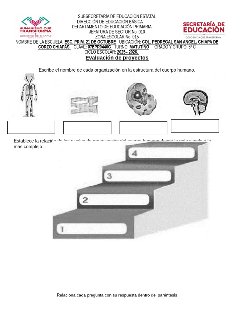 EXAMEN DE LA ESTRUCTURA DEL CUERPO HUMANO | PDF | Cuerpo humano | Sangre