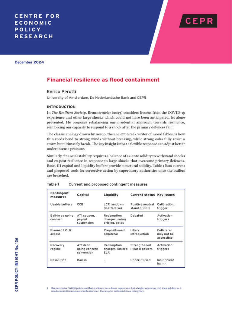 Financial Resilience As Flood Containment | PDF | Levee | Banks