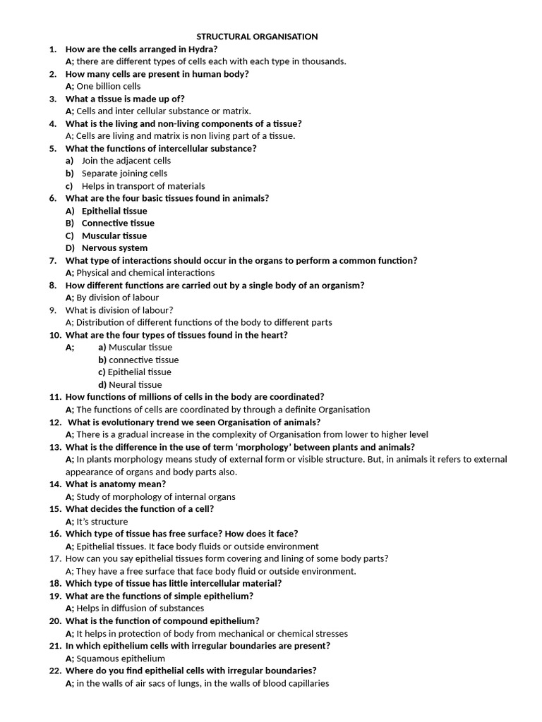 TISSUES | PDF | Epithelium | Connective Tissue