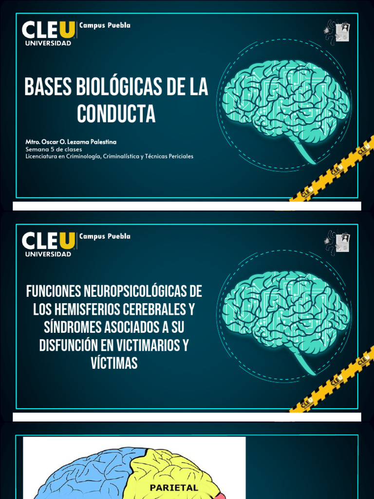 Bases Biológicas de La Conducta-Semana 5 | PDF | Las emociones ...