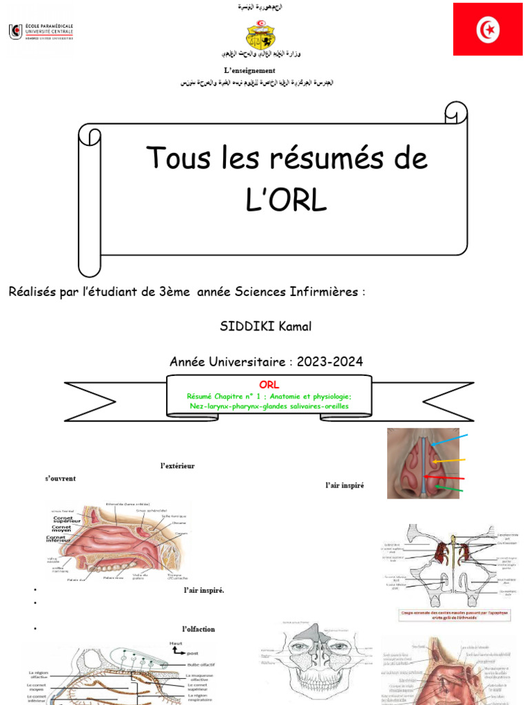 Tous Les Résumés de ORL 1 | PDF | Oreille | Otorhinolaryngologie