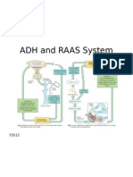ADH and RAAS System