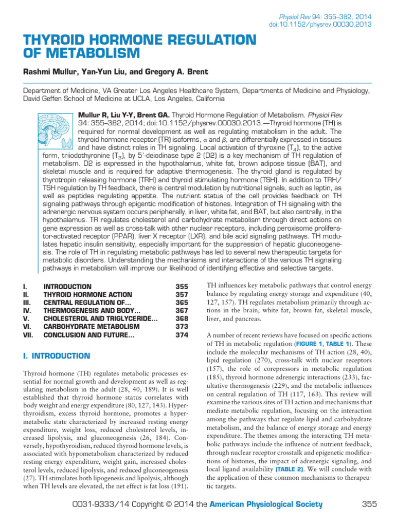 mullur Et Al 2014 Thyroid Hormone Regulation of Metabolism | PDF ...
