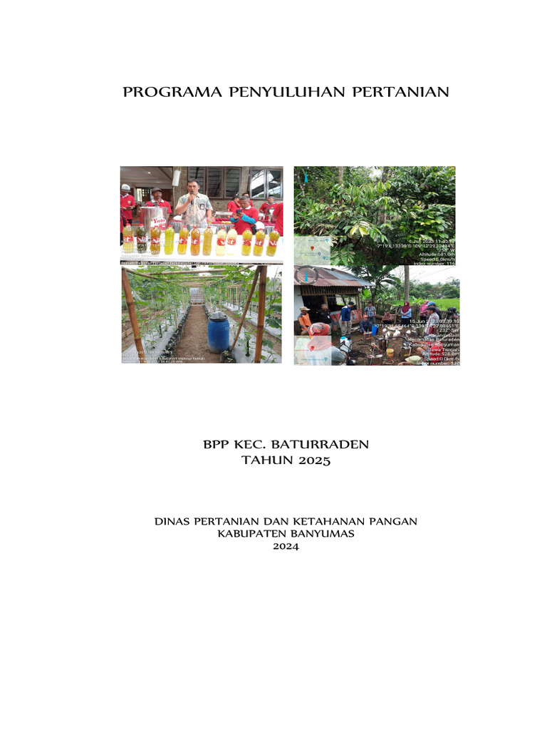 Programa BPP Baturraden 2025 | PDF
