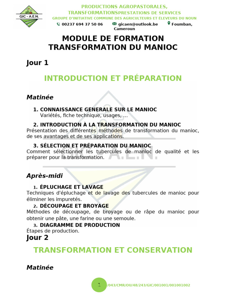 Module de Formation Transformation Du Manioc | PDF | Cuisine | Aliments ...