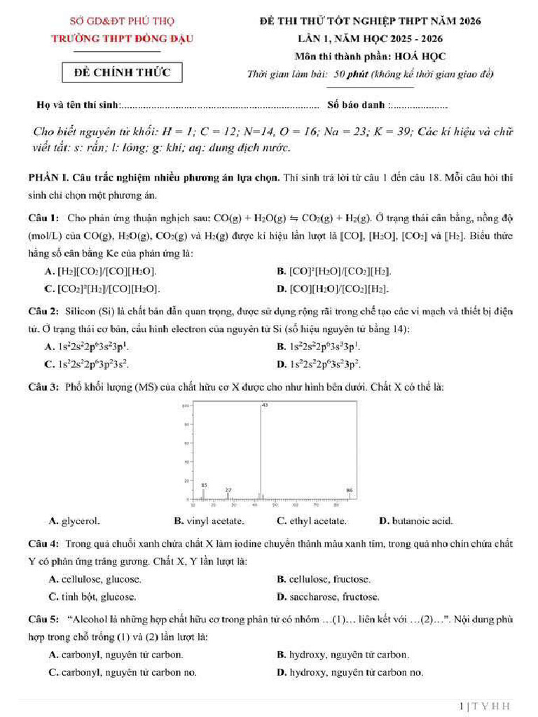 IMG_7287 | PDF