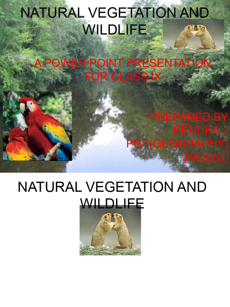 CH 5 Natural Vegetation and Wildlife 1 | PDF | Forests | Plants