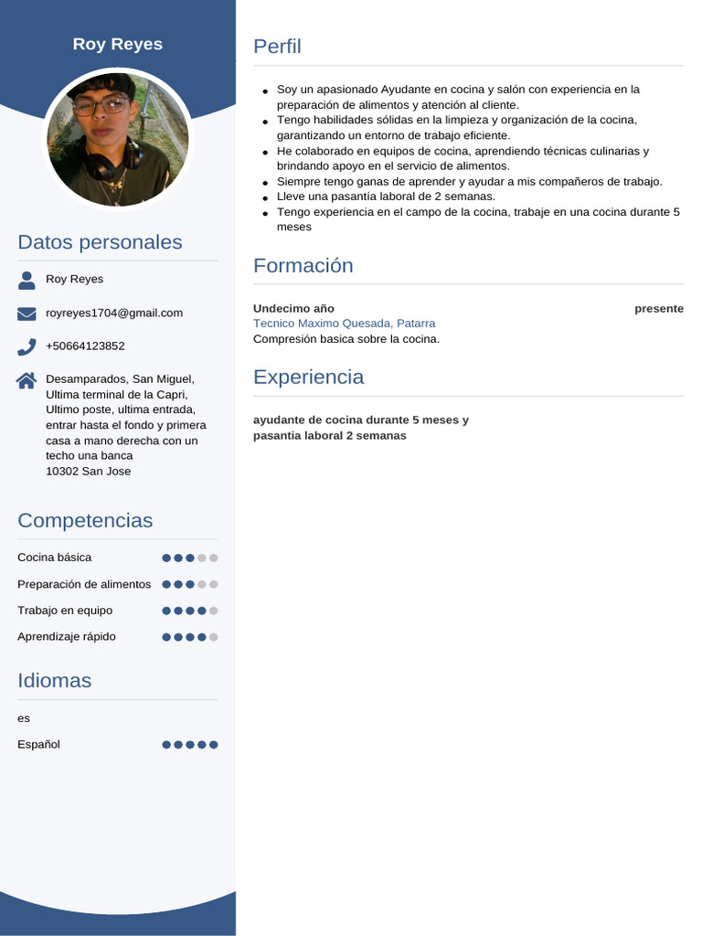 CV Roy Reyes | PDF