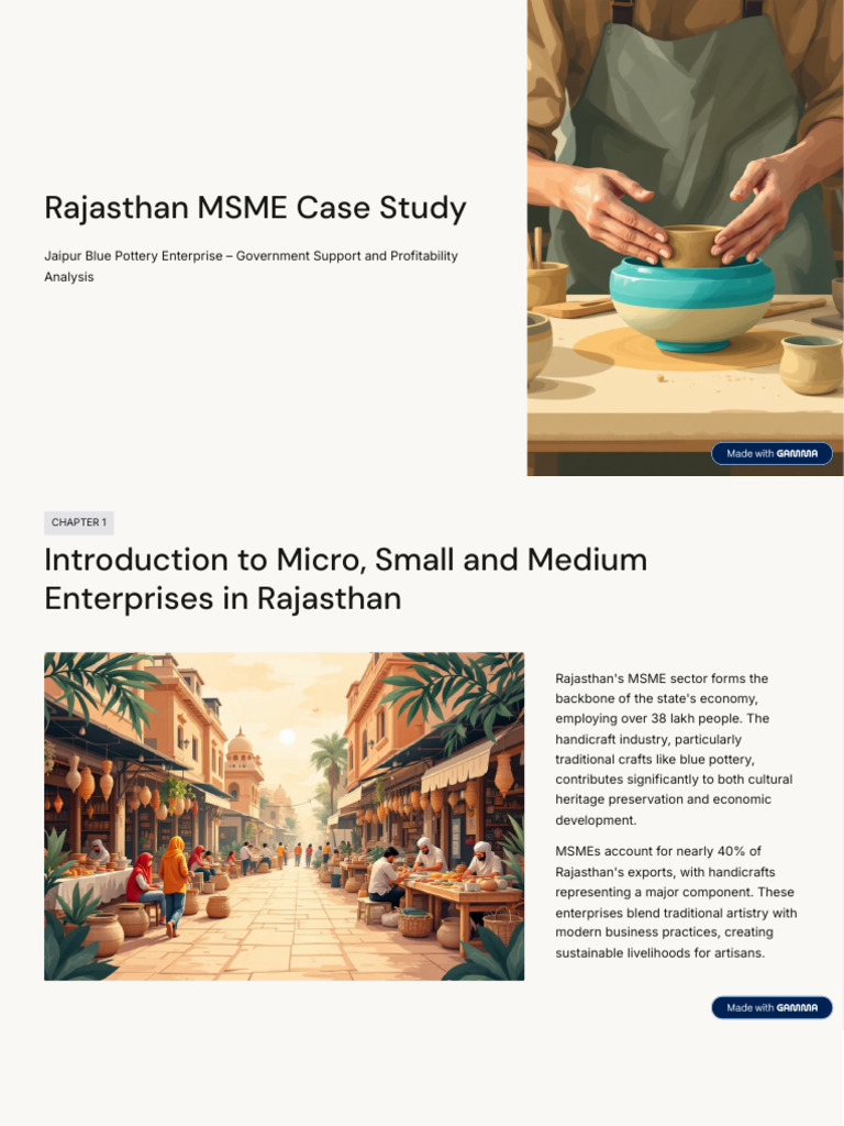Rajasthan MSME Case Study | PDF | Revenue | Subsidy