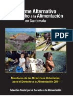 Colectivo Social Derecho a Alimentación - Informe Alternativo- Monitoreo de Directrices Voluntarias para DA 2011