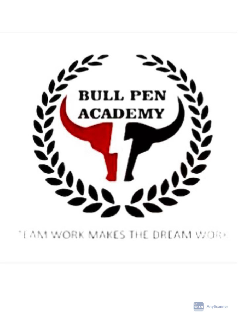 Bullpen Acadamy Logo | PDF
