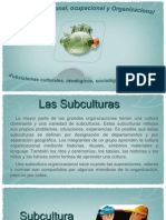 Subculturas Organizacionales