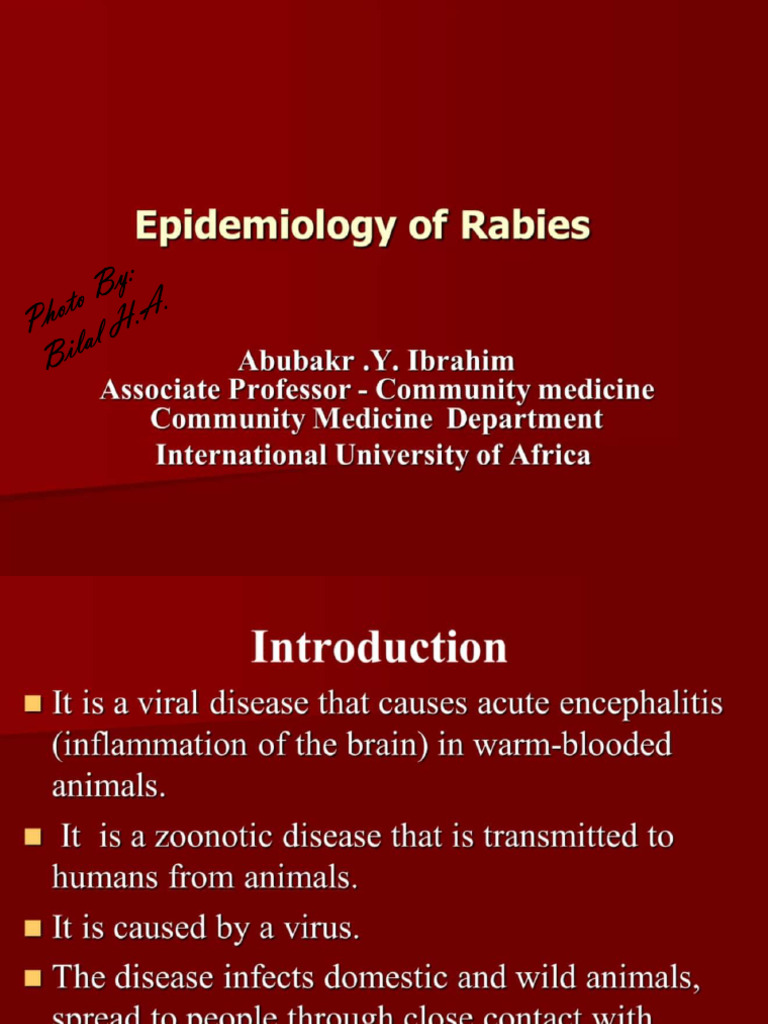 Epidemiology of Rabies | PDF