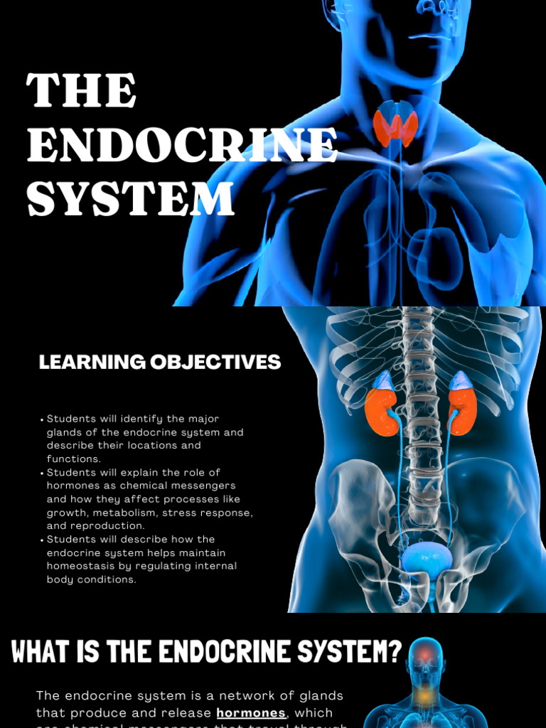 Inbound 5814240695247462126 | PDF | Endocrine System | Hormone