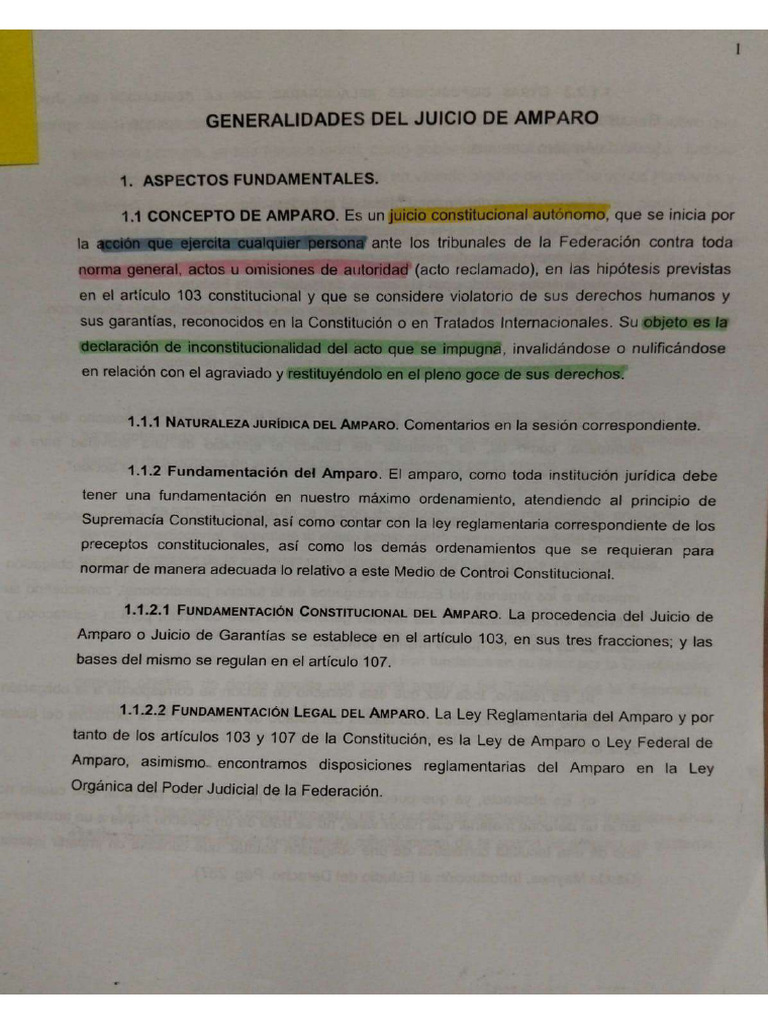 Juicio de Amparo | PDF