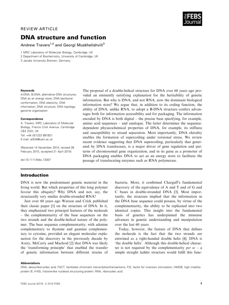 DNAstructureandfunction | PDF | Dna | Base Pair