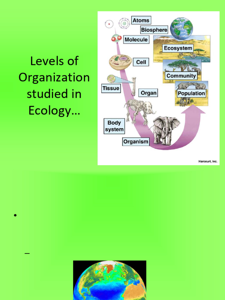 1b. Ecology PART I | PDF | Ecosystem | Plankton