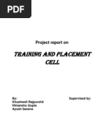 Download Training And Placement by Himanshu Gupta SN99169140 doc pdf