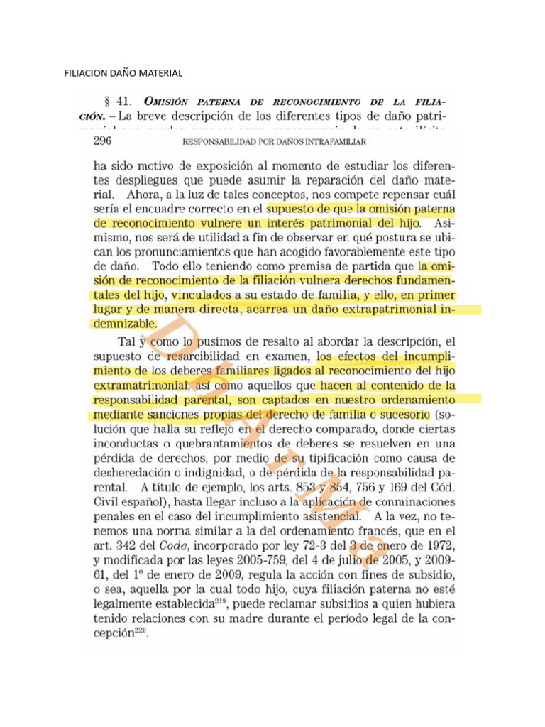 Filiacion Daño Material | PDF