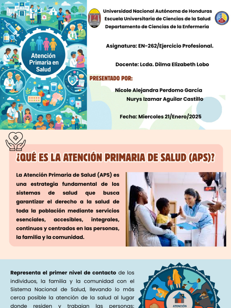 APS Atención Primaria en Salud | PDF | Cuidado de la salud