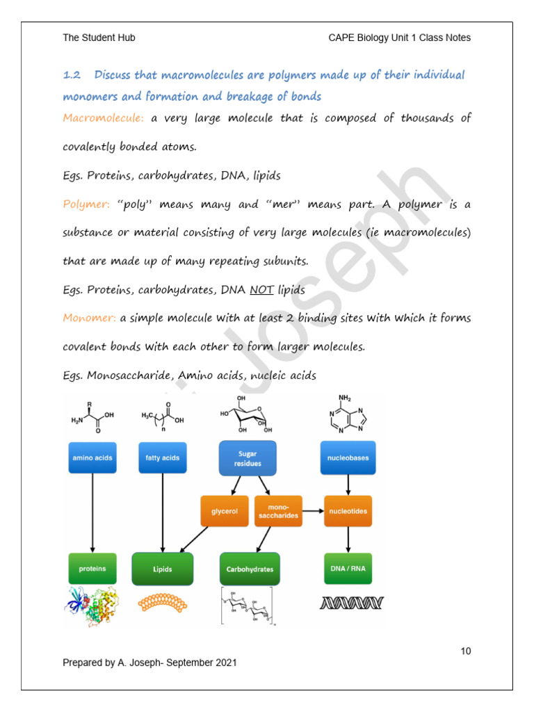 TSH CAPE Biology Unit 1 Class Notes 2 - Objective 1.2-1.3 | PDF ...