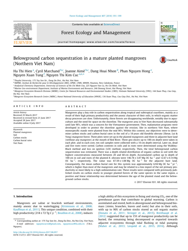 Belowground Carbon Sequestration in a Mature Planted Mangroves | PDF ...